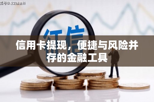 遂昌信用卡提现，便捷与风险并存的金融工具
