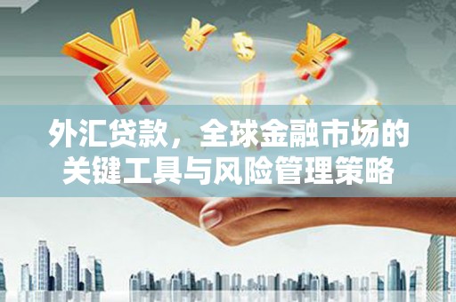 遂昌外汇贷款，全球金融市场的关键工具与风险管理策略
