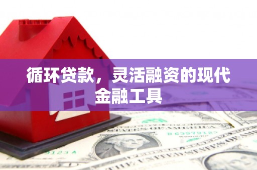 遂昌循环贷款，灵活融资的现代金融工具