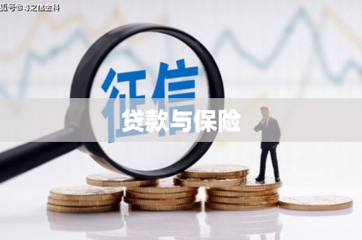 遂昌贷款与保险