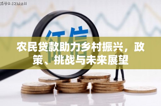遂昌农民贷款助力乡村振兴，政策、挑战与未来展望