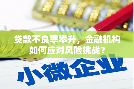 遂昌贷款不良率攀升，金融机构如何应对风险挑战？