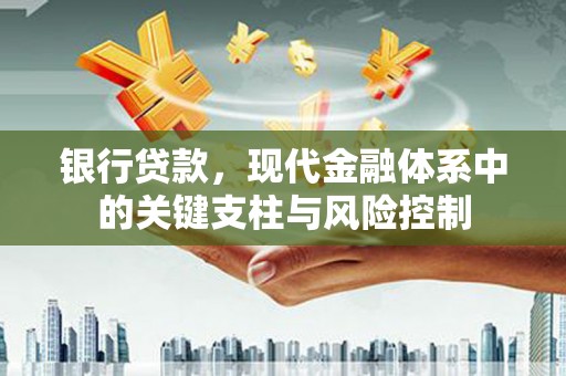 遂昌银行贷款，现代金融体系中的关键支柱与风险控制