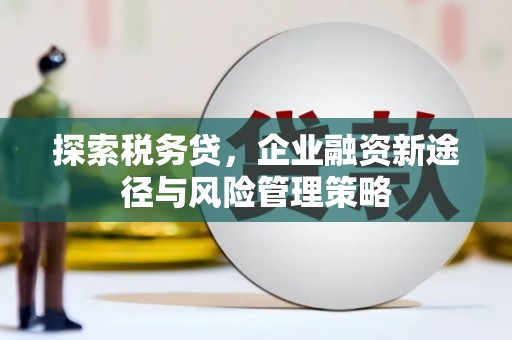 遂昌探索税务贷，企业融资新途径与风险管理策略