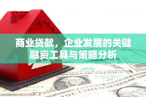 遂昌商业贷款，企业发展的关键融资工具与策略分析