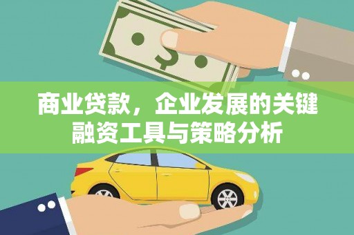 遂昌商业贷款，企业发展的关键融资工具与策略分析