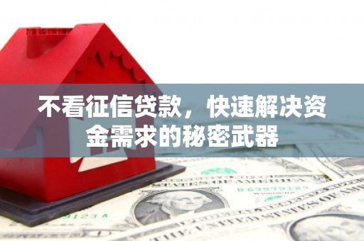 遂昌不看征信贷款，快速解决资金需求的秘密武器