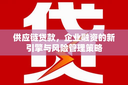 遂昌供应链贷款，企业融资的新引擎与风险管理策略