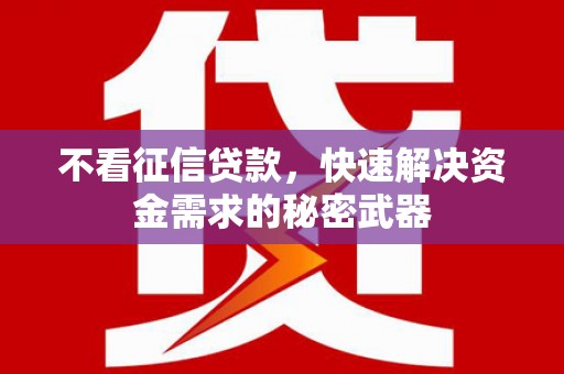遂昌不看征信贷款，快速解决资金需求的秘密武器