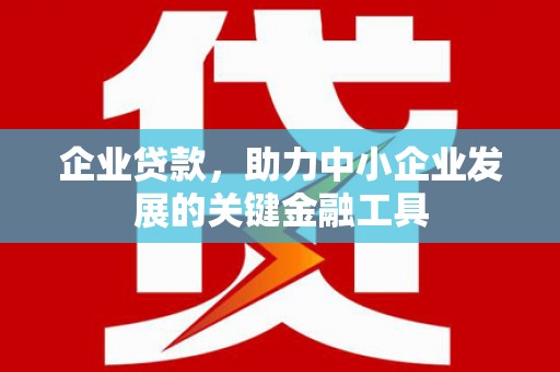 遂昌企业贷款，助力中小企业发展的关键金融工具