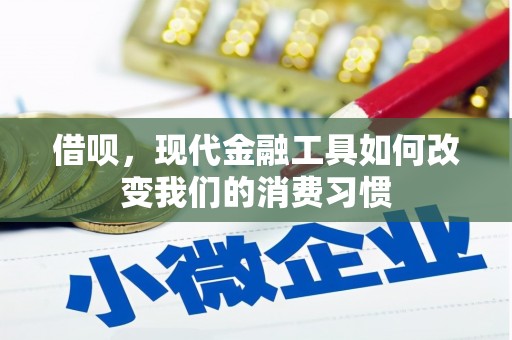 遂昌借呗，现代金融工具如何改变我们的消费习惯