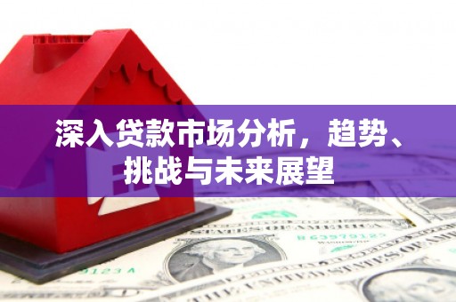 遂昌深入贷款市场分析，趋势、挑战与未来展望