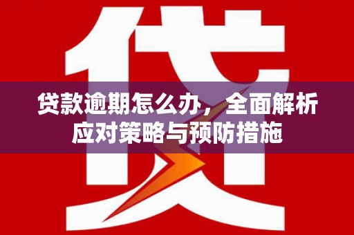 遂昌贷款逾期怎么办，全面解析应对策略与预防措施