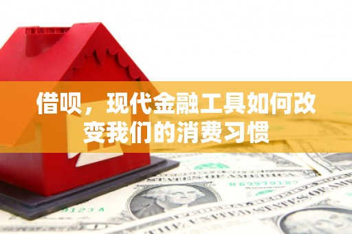 遂昌借呗，现代金融工具如何改变我们的消费习惯