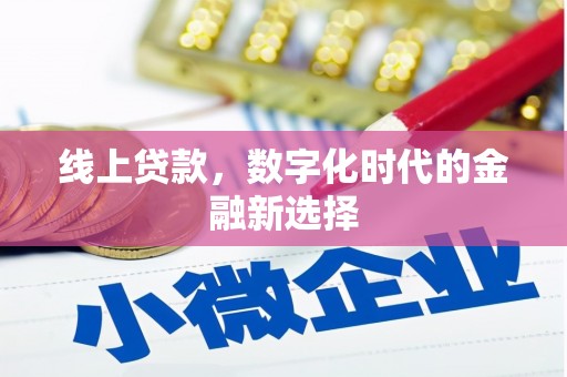 遂昌线上贷款，数字化时代的金融新选择