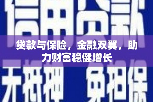 遂昌贷款与保险，金融双翼，助力财富稳健增长