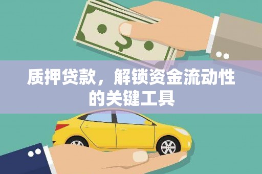 遂昌质押贷款，解锁资金流动性的关键工具