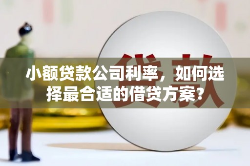 遂昌小额贷款公司利率，如何选择最合适的借贷方案？