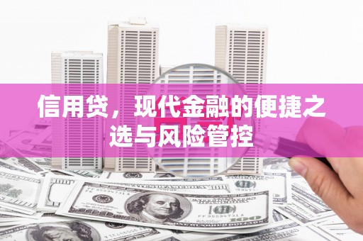 遂昌信用贷，现代金融的便捷之选与风险管控