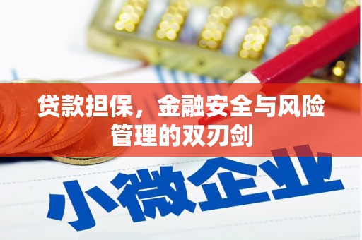 遂昌贷款担保，金融安全与风险管理的双刃剑