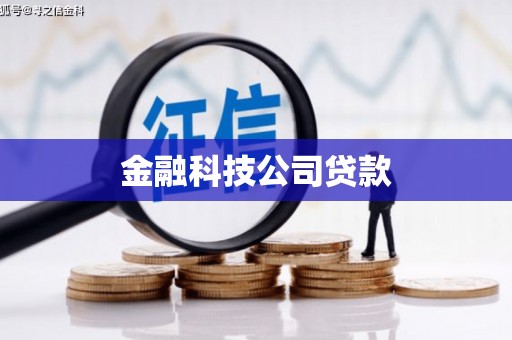 遂昌金融科技公司贷款