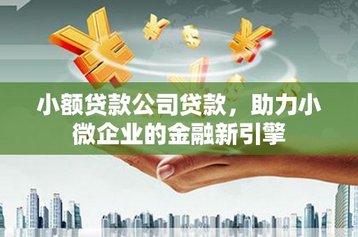 遂昌小额贷款公司贷款，助力小微企业的金融新引擎
