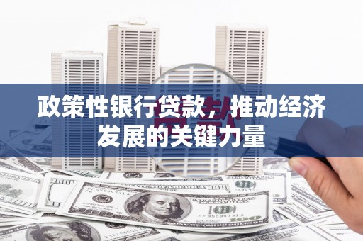 遂昌政策性银行贷款，推动经济发展的关键力量