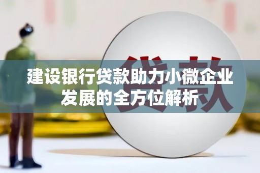 遂昌建设银行贷款助力小微企业发展的全方位解析