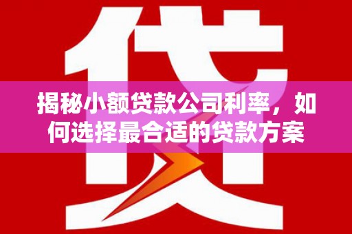 遂昌揭秘小额贷款公司利率，如何选择最合适的贷款方案