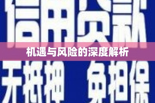 遂昌机遇与风险的深度解析