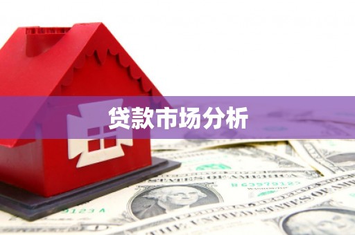 遂昌贷款市场分析