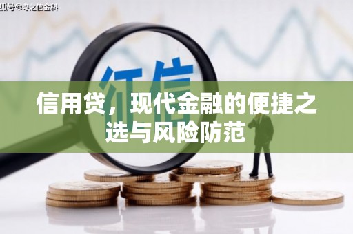 遂昌信用贷，现代金融的便捷之选与风险防范