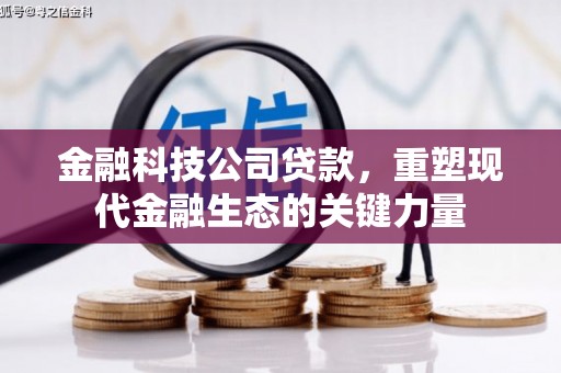 遂昌金融科技公司贷款，重塑现代金融生态的关键力量
