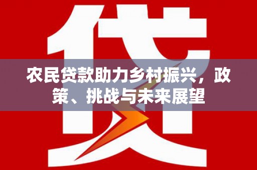 遂昌农民贷款助力乡村振兴，政策、挑战与未来展望