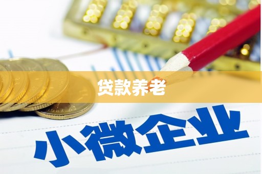 遂昌贷款养老