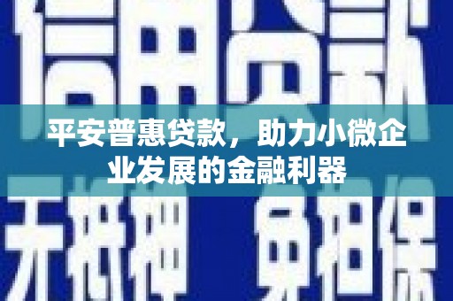 遂昌平安普惠贷款，助力小微企业发展的金融利器