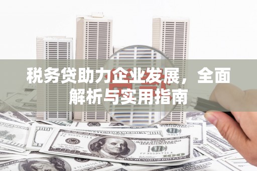 遂昌税务贷助力企业发展，全面解析与实用指南