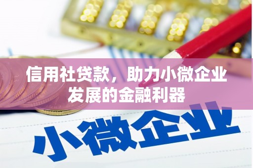 遂昌信用社贷款，助力小微企业发展的金融利器