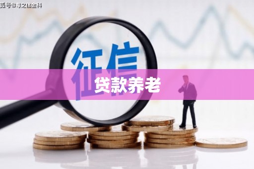 遂昌贷款养老