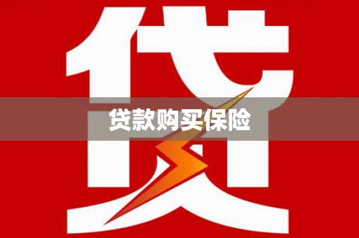 遂昌贷款购买保险