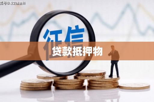 遂昌贷款抵押物