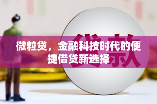 遂昌微粒贷，金融科技时代的便捷借贷新选择