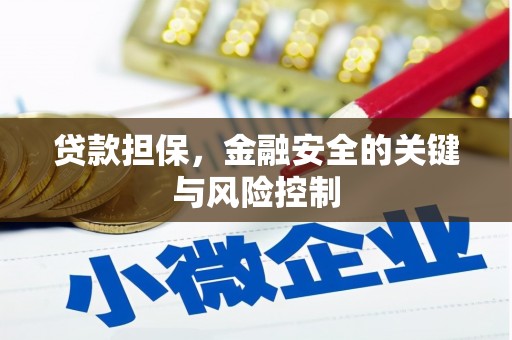 遂昌贷款担保，金融安全的关键与风险控制