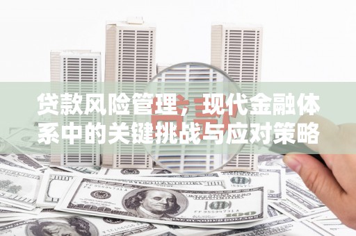 遂昌贷款风险管理，现代金融体系中的关键挑战与应对策略