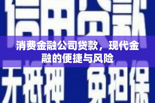 遂昌消费金融公司贷款，现代金融的便捷与风险