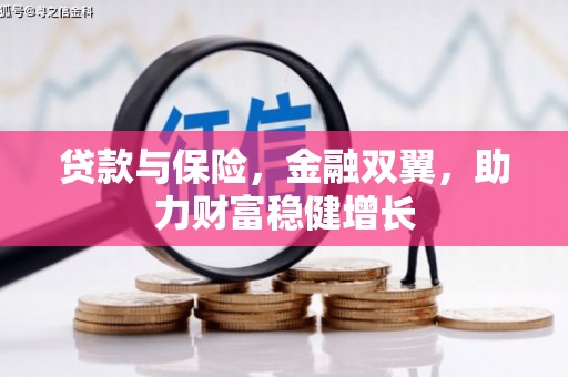 遂昌贷款与保险，金融双翼，助力财富稳健增长