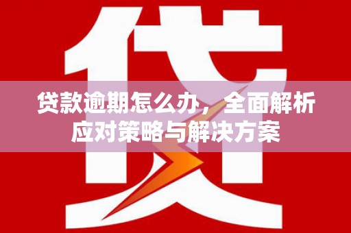 遂昌贷款逾期怎么办，全面解析应对策略与解决方案