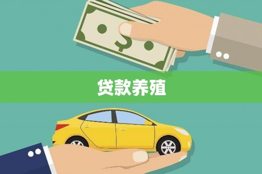 遂昌贷款养殖