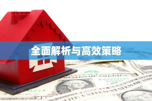 遂昌全面解析与高效策略