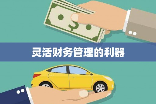 遂昌灵活财务管理的利器